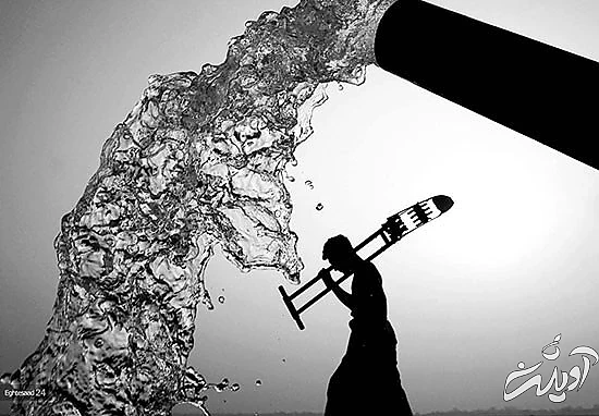 برندگان مسابقه عکاسی حفاظت از طبیعت‎